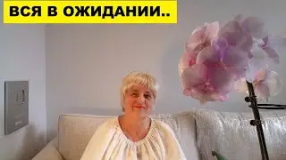ВСЯ В ОЖИДАНИИ ПРОДОЛЖАЮ ПАКОВАТЬСЯ..СИДИМ НА ЛАВОЧКЕ