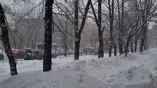 1 марта 2024