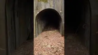 Abandoned Railroad in Eastern Kentucky | #Shorts