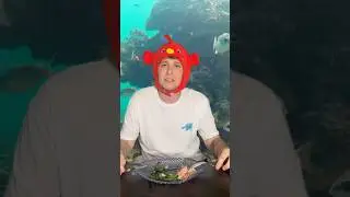 O SIRADA RANDEVUDA OLAN BALIK 