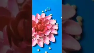 Cute pink lotus flowers with pista shells!! #fun #shorts