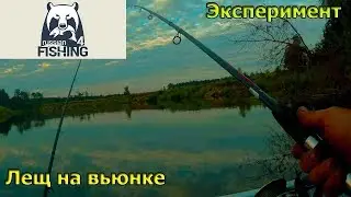 Русская рыбалка 4 -р.Вьюнок, Лещ, Эксперимент с крючками.