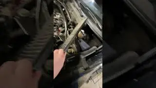 Зачем менять салонный фильтр? Плесень на фильтре