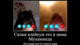 Крыса звонит Хомяку | Салам алейкум это мама Мухаммеда