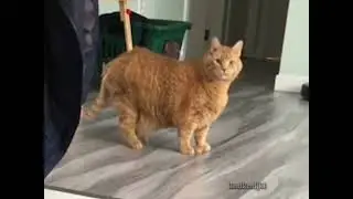 how was breakfast