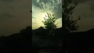 ~