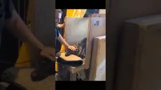 Why are Protection dogs Useless