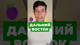 СЛИВЫ ВСЁ-ТАКИ ЕСТЬ? 🫢 
