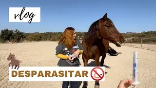 Hoy desparasitamos a Xaloc - VLOG | Laia x Xaloc