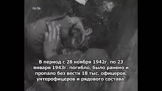Дания во Второй мировой войне, на стороне вермахта Freikorps Danmark - В Демянском котле