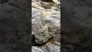 confluence of small rivers