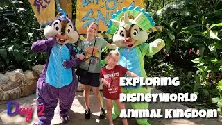 Explore Disney World Animal Kingdom | 2022 Tour of Animal Kingdom