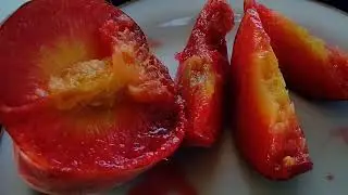 Обзор и дегустация раннего персика Рич Мэй.