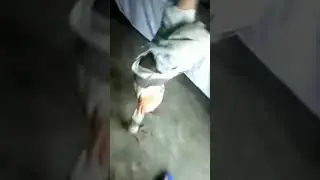 Kaka fanE🤣🤣