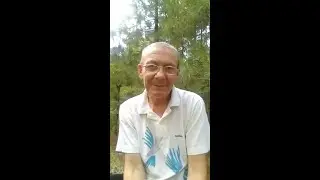 Размышления на прогулке - Ответы на вопросы
