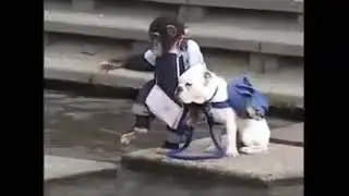 БОЖЕ! СКОЛЬКО ЖЕ УМА !