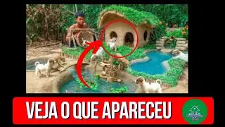 Resgate de filhotes abandonados construindo casa de lama para cães