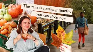 Herbstliebe 🍁🍃 veganer Kürbiskuchen, Filme + Pumpkin Spice Lattes 🎃