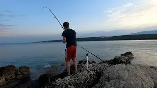 Nikad veća orada - jutarnji ribolov na novoj lokaciji 🎣 #ribolov #orada #fishing #shorefishing