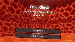 It's a Hard Minecraft Life
