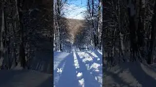 «Королевская горка» в Ставрополе