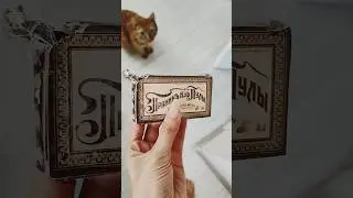 Черноморский котик не устоял перед тульским пряником 🥮😼 #reels #влог