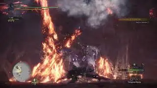 HBG vs Alatreon - solo, pierce, no scope or shield