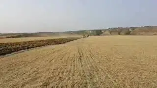 Кировец в загонке. Пахота