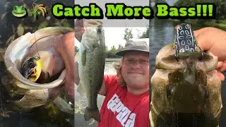 Four Tips for Frog Fishing: The Heavy Cover Chronicles