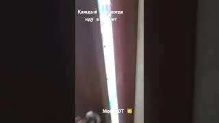 12 января 2023 г.