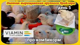 Бройлеры.  Вес бройлера удивляет. Комбикорм ВиаМин - залог здорового, крупного бройлера.