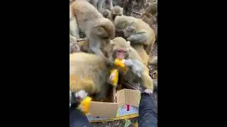 Вот что такое халява