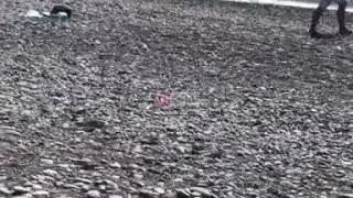 На необорудованном пляже п. Якорная Щель спасатели обнаружили двух утонувших людей