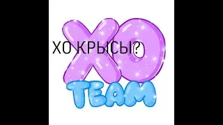 XO КРЫСЫ❓ КАТЯ ГОЛЫШЕВА. ХАЙП ХАУС РУС. ТИК ТОК ИНФОРМАЦИЯ.