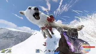 When Polar Bears Attack 