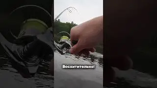 Вот это нежданчик! Как вам решение? #спиннинг #рыбалка #реки