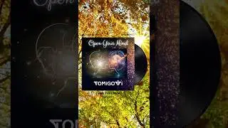 TOMiGOTTi - Open your Mind