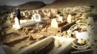 شاعر بوعرفة 