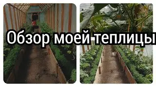 🔥ОБЗОР МОЕЙ ТЕПЛИЦЫ👍Огород мечты💯