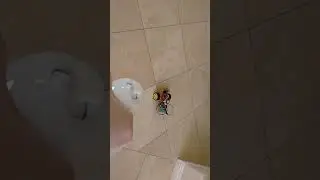 WiFi Remote Control ESP8266 Robot with Wii Nunchuck