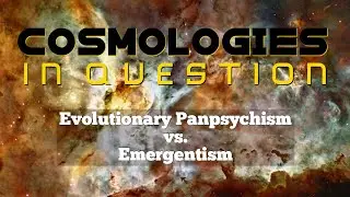 Cosmologies in Question (Matt Segall and David Long)