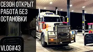 Сезон открыт - Работа без остановки | Working non-stop Vlog #43