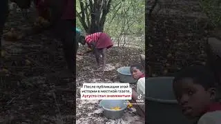 в африке нашли ребенка, рожденного от сочетания шимпанзе и человека 😨