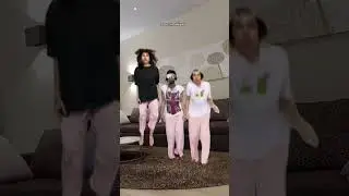 тг: струя бобра