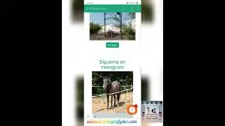el cambio de la web