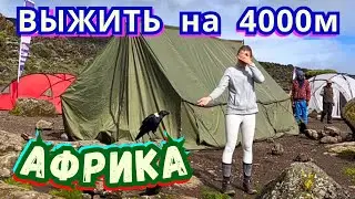 ☢️КАК ИЗБЕЖАТЬ ГОРНОЙ БОЛЕЗНИ при ВОСХОЖДЕНИИ⁉️ КИЛИМАНДЖАРО🌋 Танзания 2024