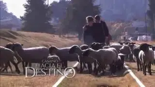 Un Camino Hacia El Destino [Entrada 3]
