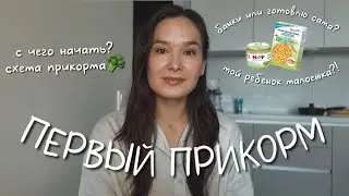 ВСЕ О ПРИКОРМЕ. С чего начать, схема прикорма🥦как начать самоприкорм, кусочки. Наш опыт🤍
