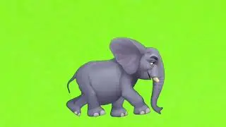 green screen Elephant/হাতি ভিডিও/ green screen elephant walking/green screen animals video/cartoon