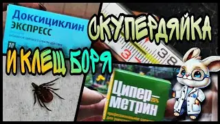 Боль в спине СПАСЛА от БОРРЕЛИОЗА. Клещ был ИНФИЦИРОВАННЫМ